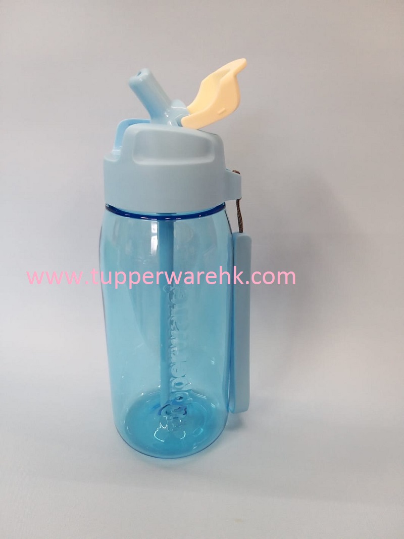 EF788 Water Bottle with Straw 500ml (1)